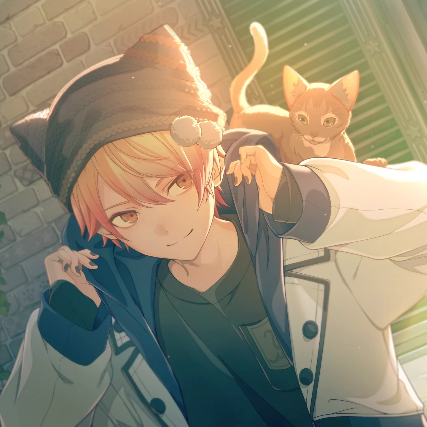 神高キャット