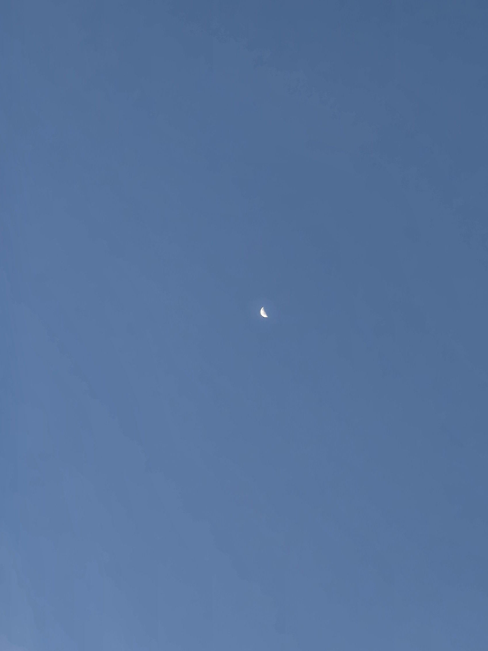 미스터리수사반 [다툼🐋⭐️] 대표 이미지