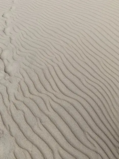 non_human_diski의 짙은 먼지 속, 어긋난 사람들