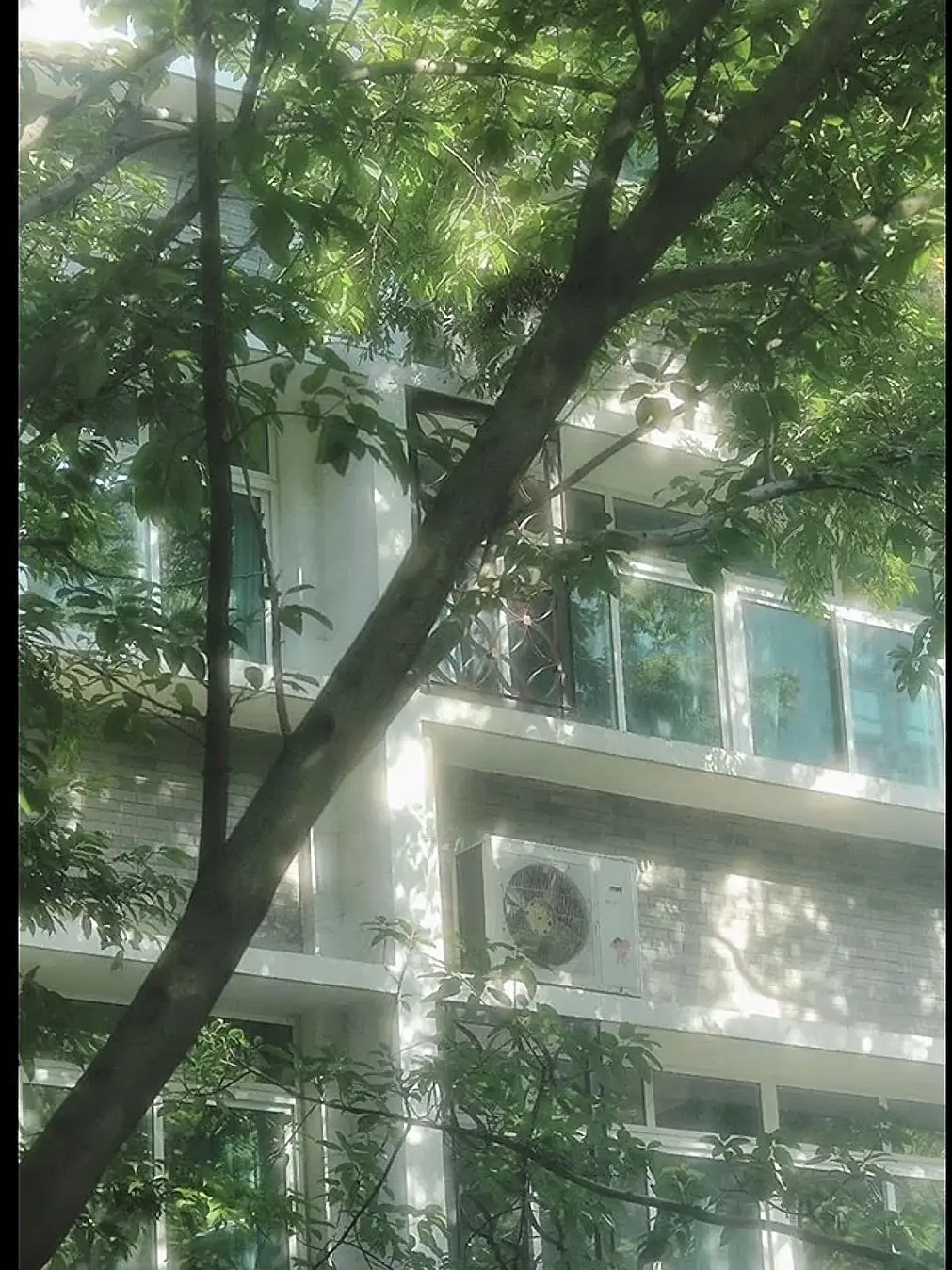 Kuro1017의 ニシコリメンバーが、お兄ちゃんに？、