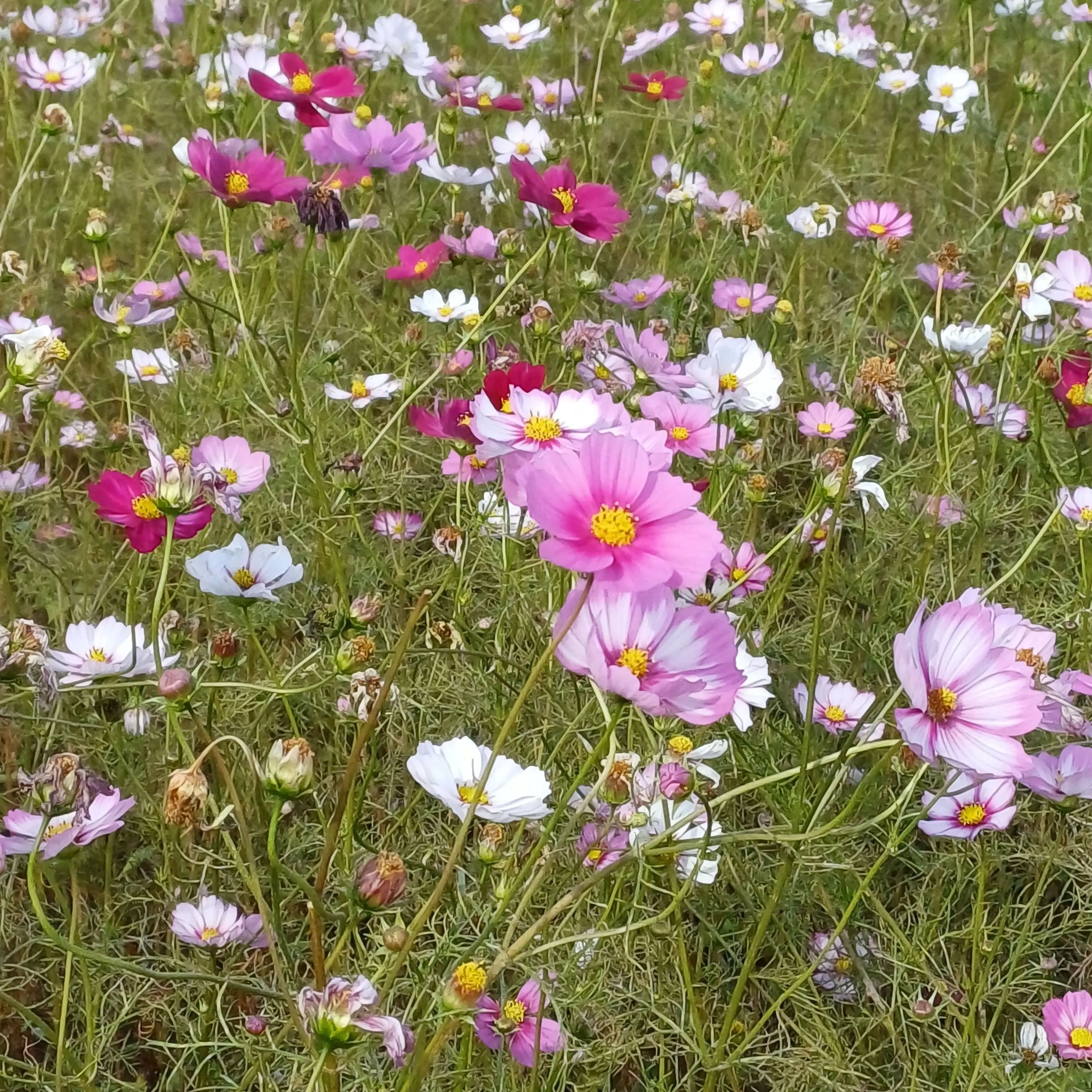 lucky_1101의 유하민