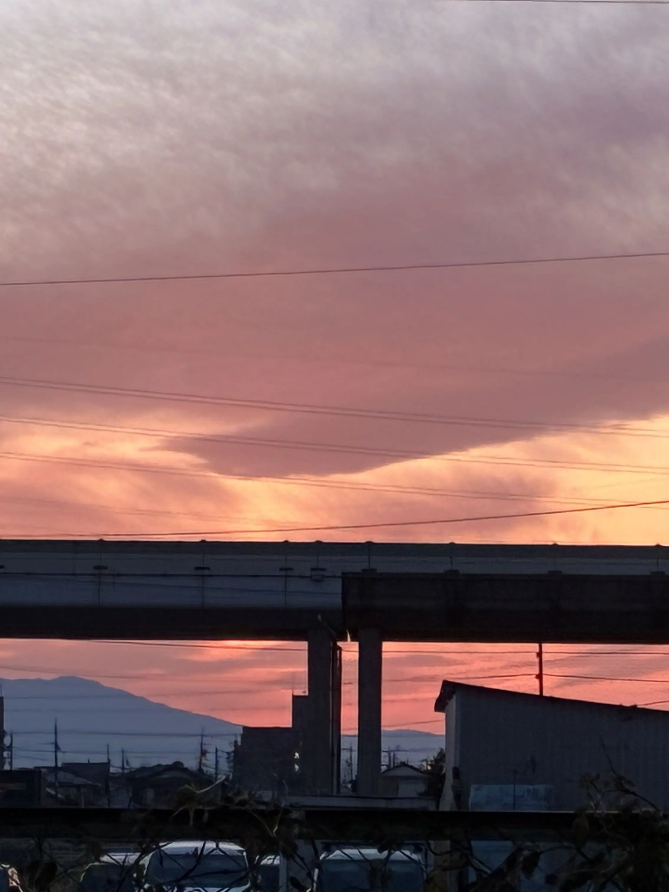 itokon07110602의 月が綺麗ねと言えたなら。