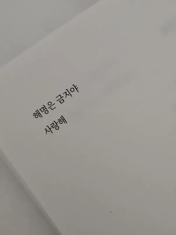 wonderstella의 최지우