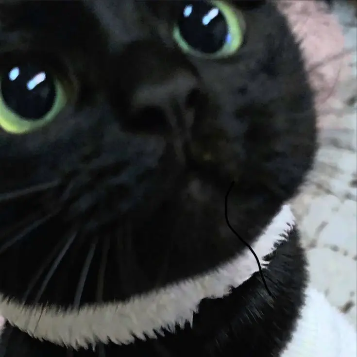 StockyTruck1657의 이소한