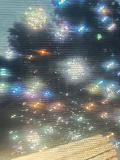 _n2의 99