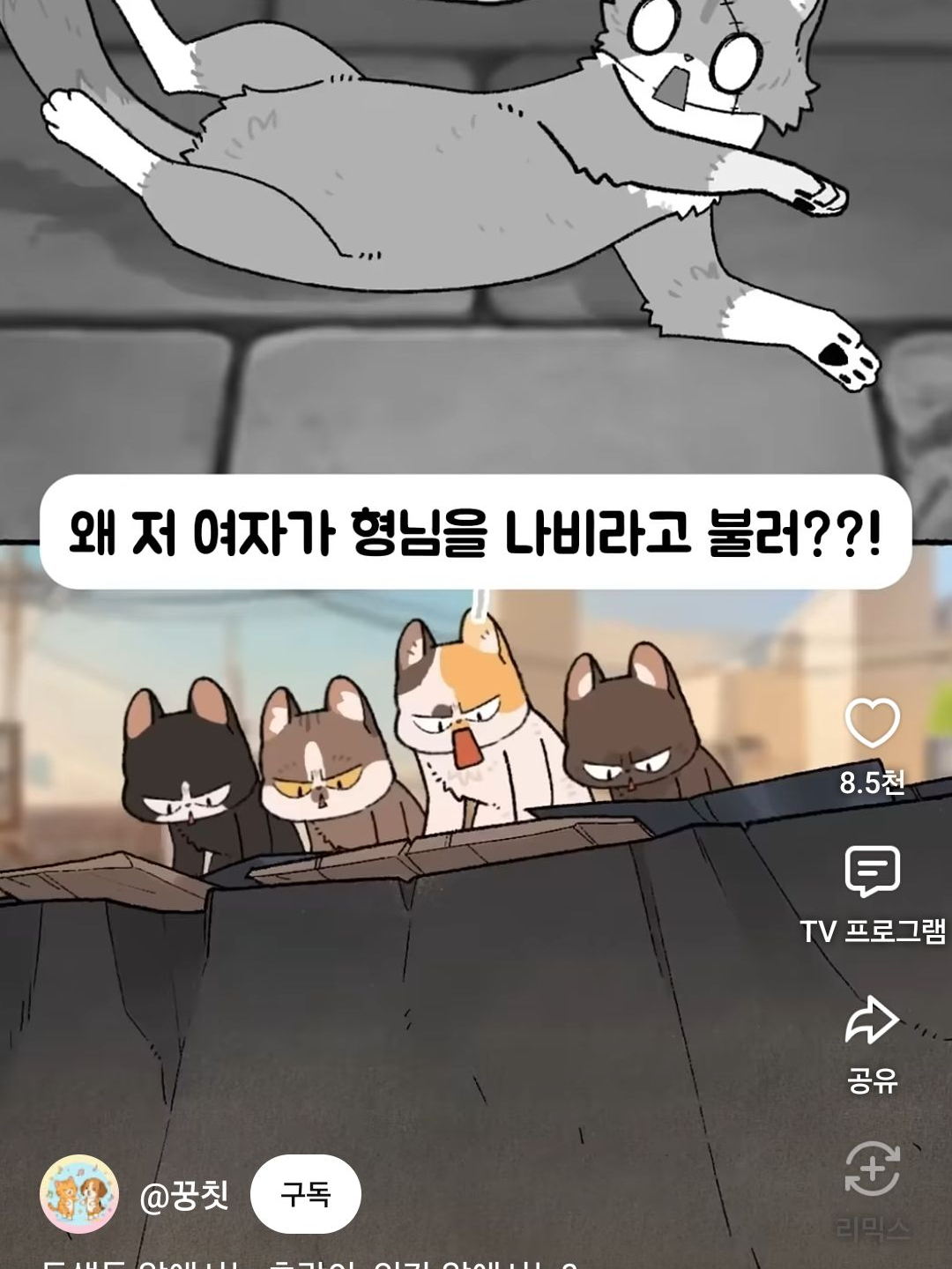 [고양이패밀리] 형님의 정체 들통?! 대표 이미지