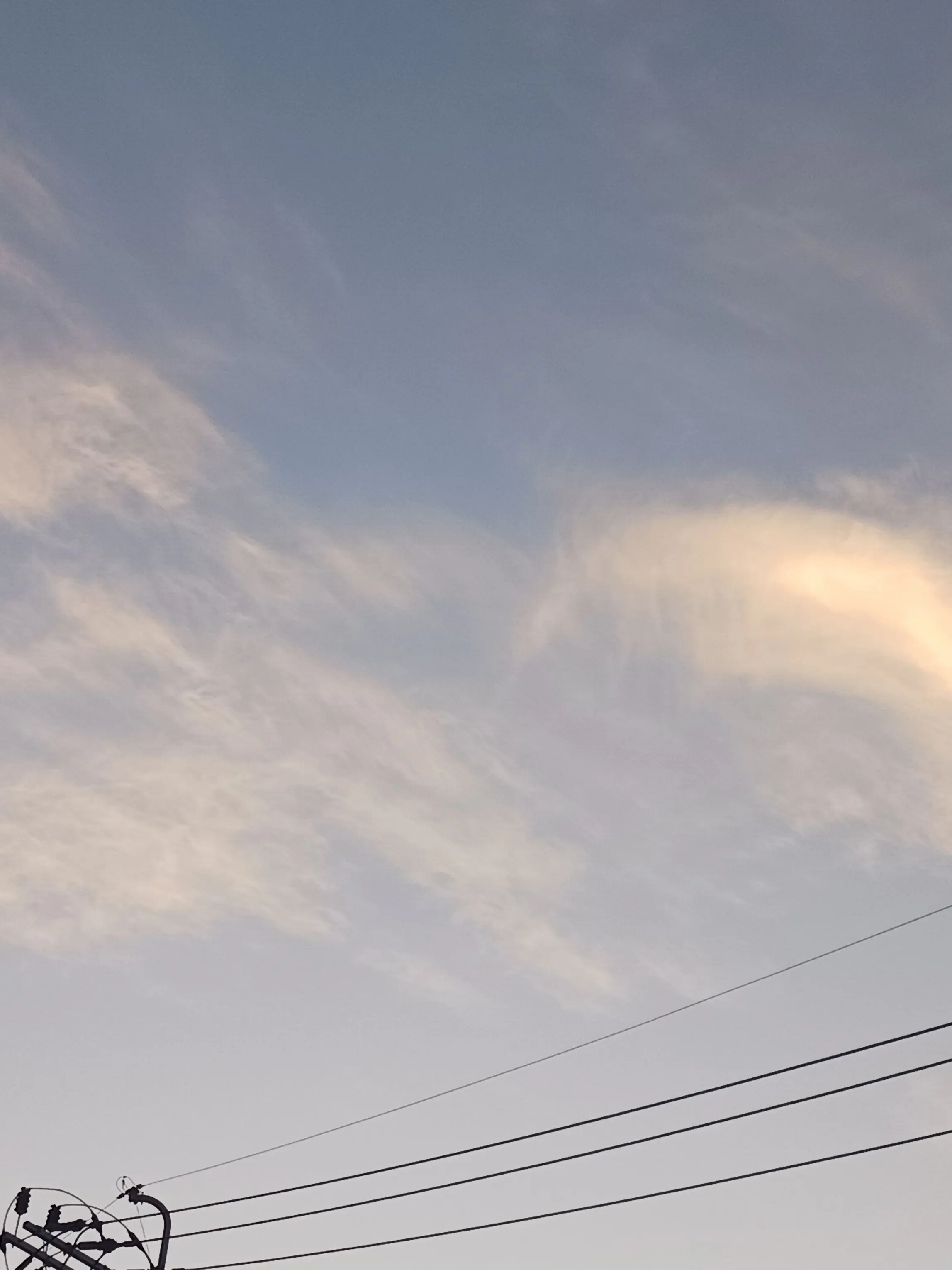 widbskkwkmsbdbwjw의 드리미, 팀샐러드