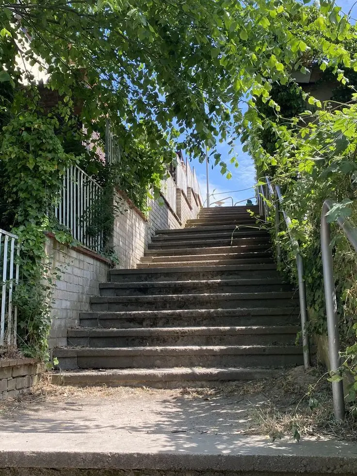 HO_815227의 신예찬