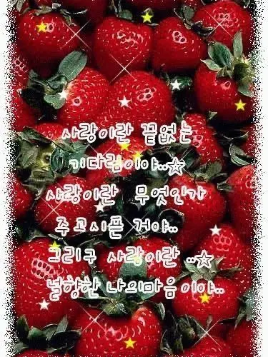 you.you의 2000년ㄷН ᄊト○l월드 무己l
