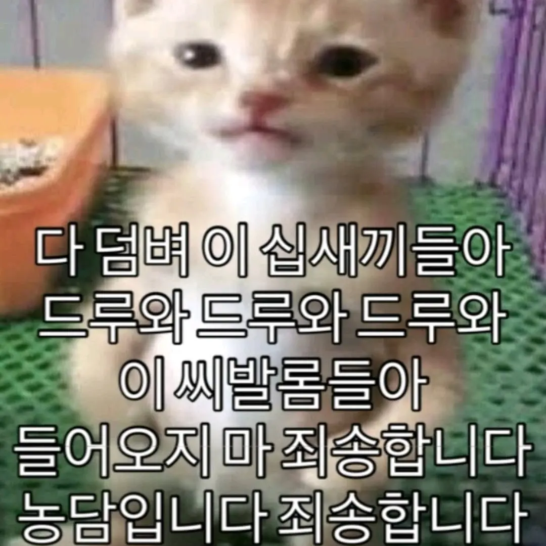 BalmyToken0484의 상현 123✨