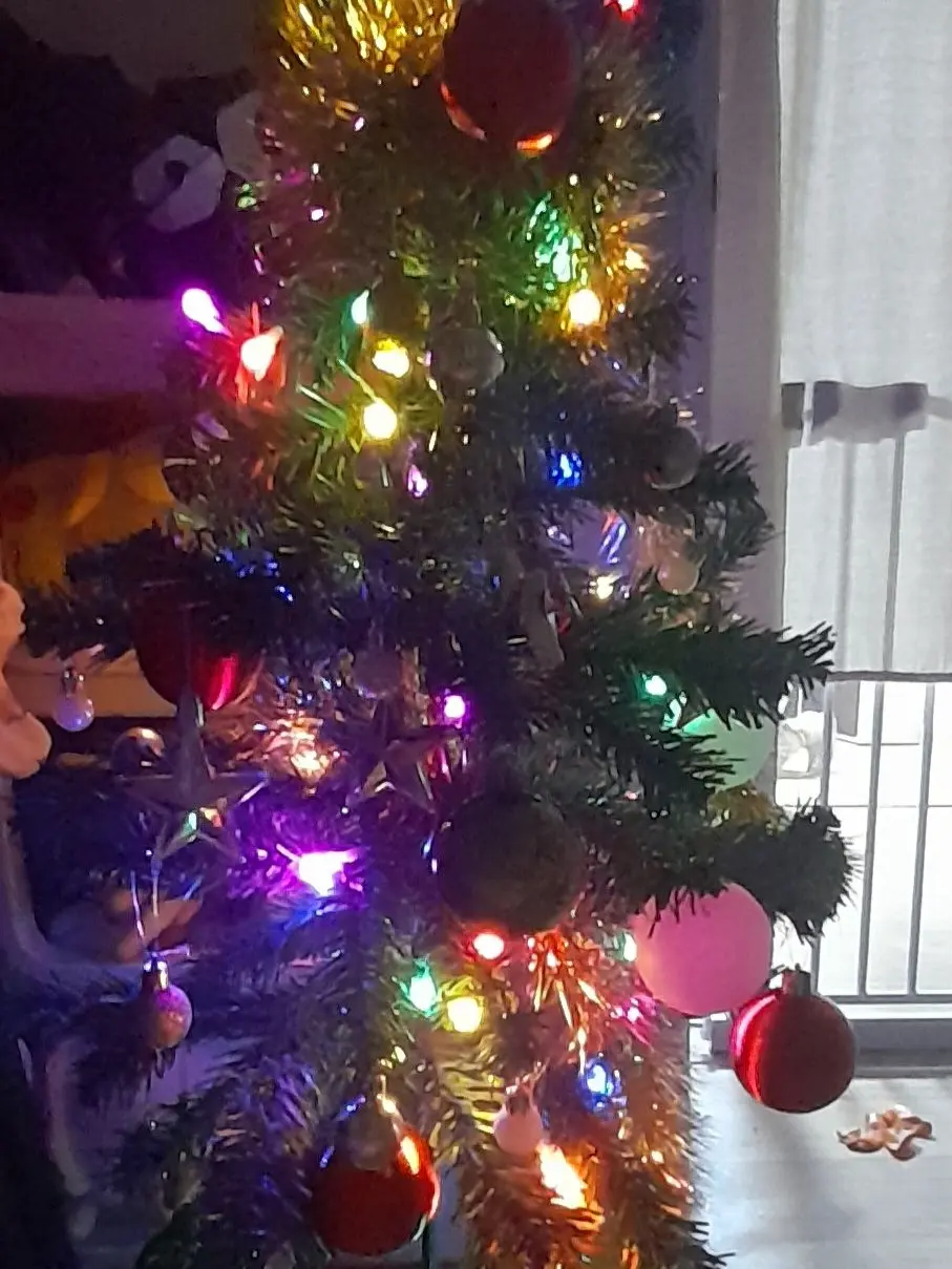 Yuii_Purelily의 퓨바×세릴