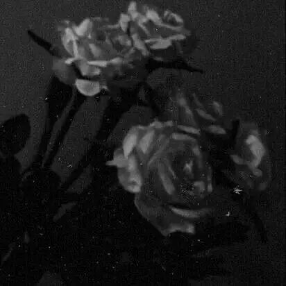 _ho5hi의 ❥･•