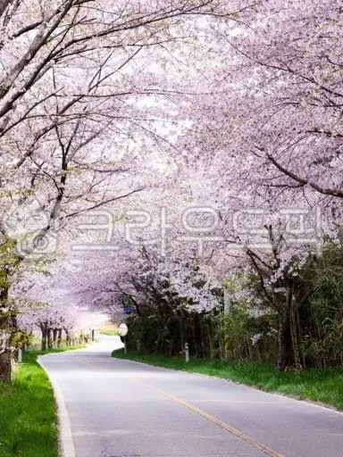 lunaen24의 첫째만 차별한다규? 원래 그래.
