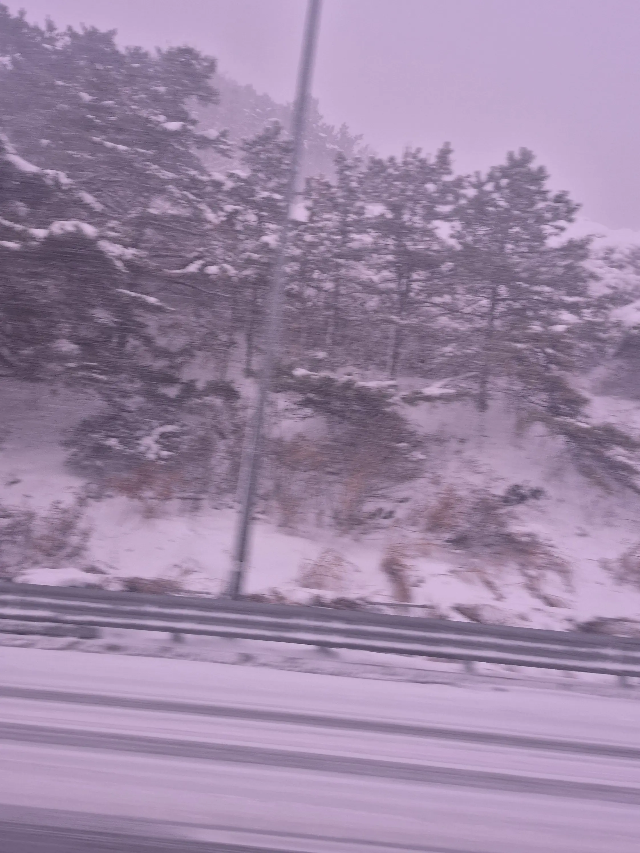 Guest_1104의 자캐들