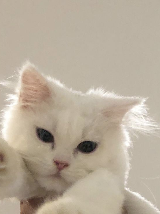 누나랑 같이 있고 시퍼여! 대표 이미지