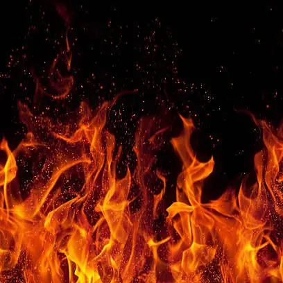 LjilJiljI의 아이디어 없음 ㅅㄱ 갠용 드림