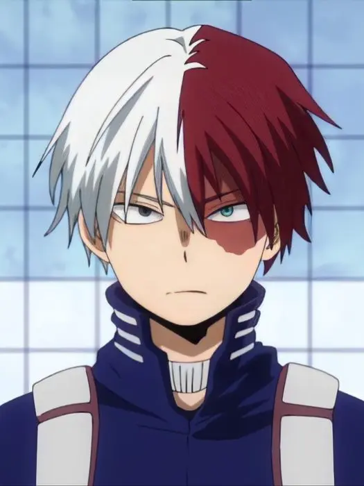 Novachanz의 Shoto Todoroki