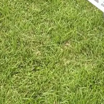 ChubbyLime9954의 개인용