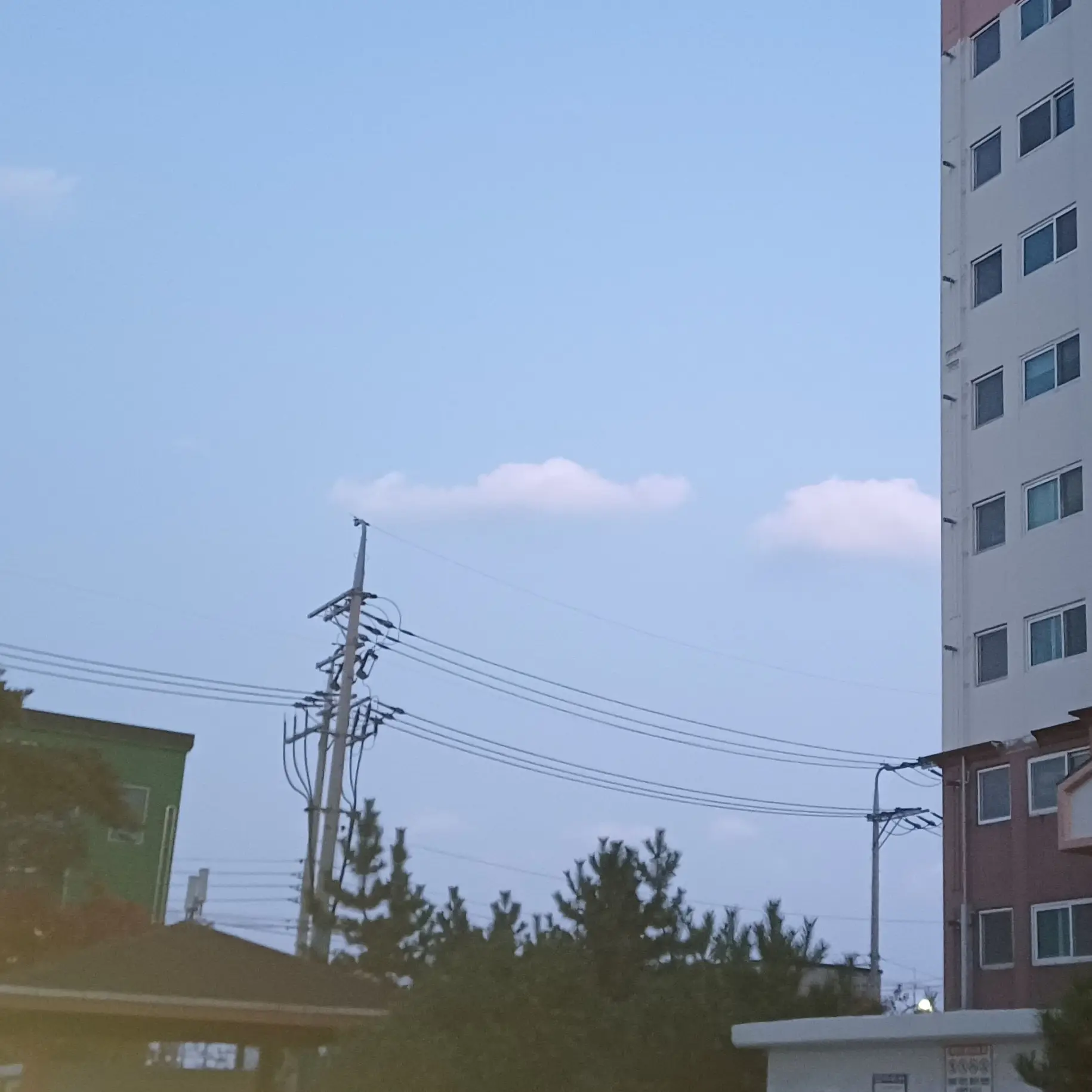 LeanerOasis0177의 [BL] 안산 퍼블릭과 동거