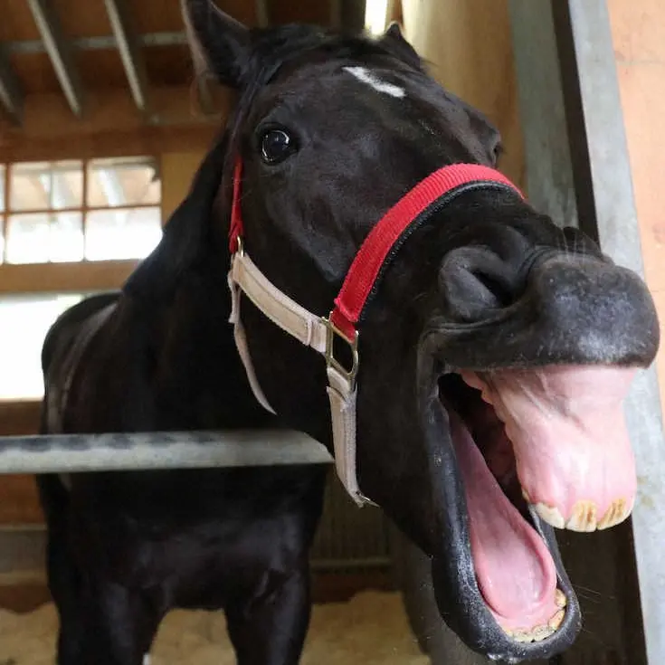 Kanagawalove의 🫶🏻