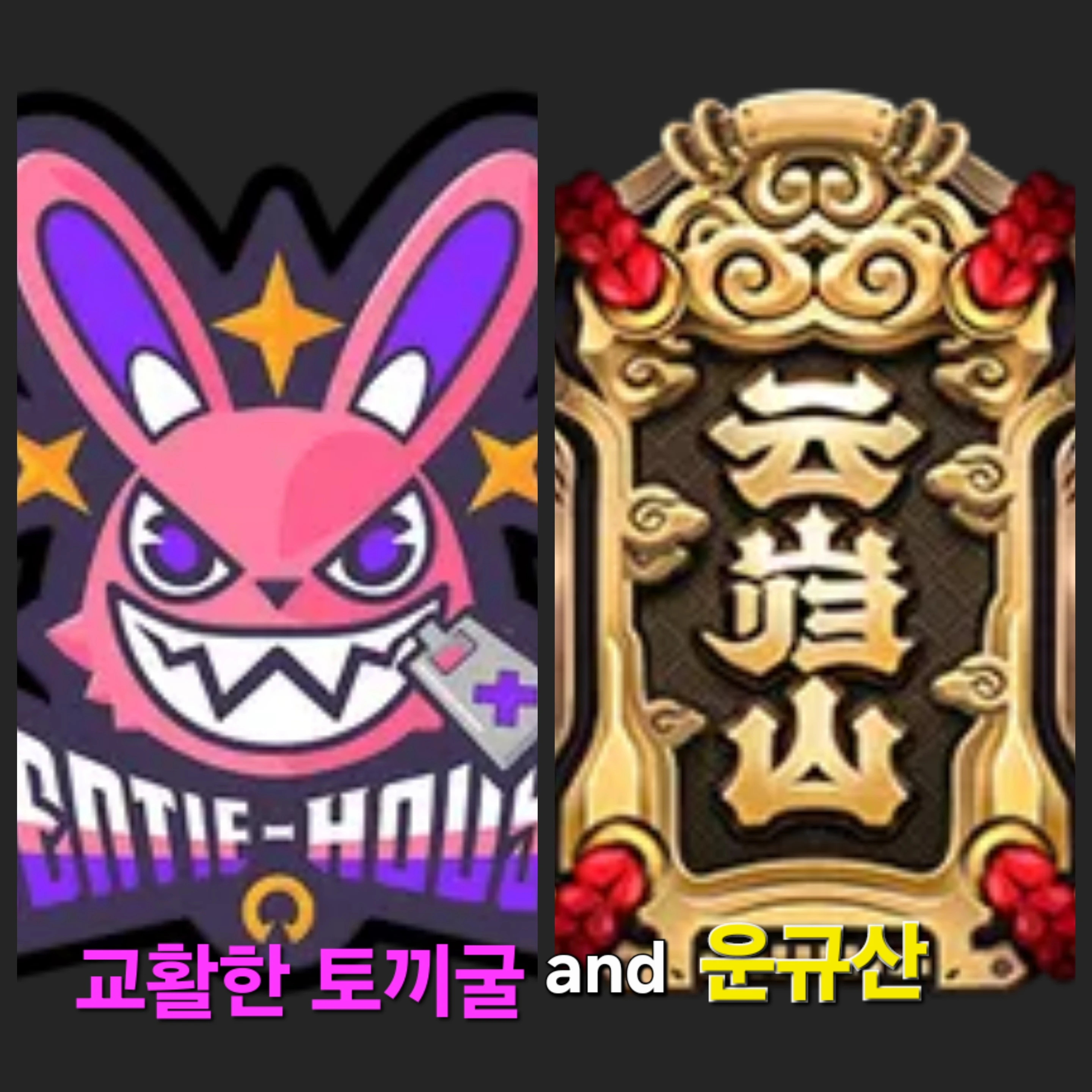 (젠존제) 교활한 토끼굴and운규산