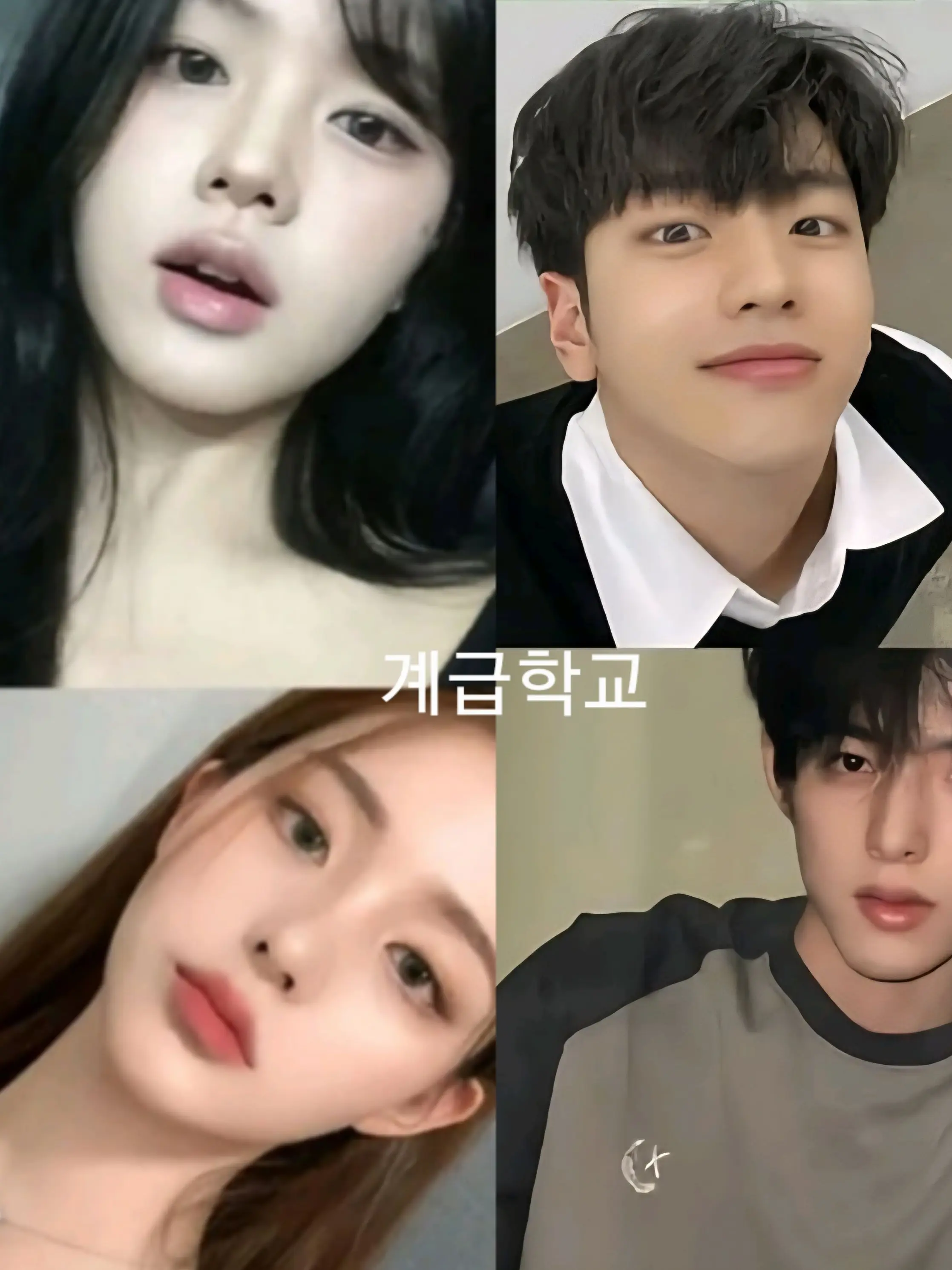 WoodenIron4423의 계급학교 <여우있어요>