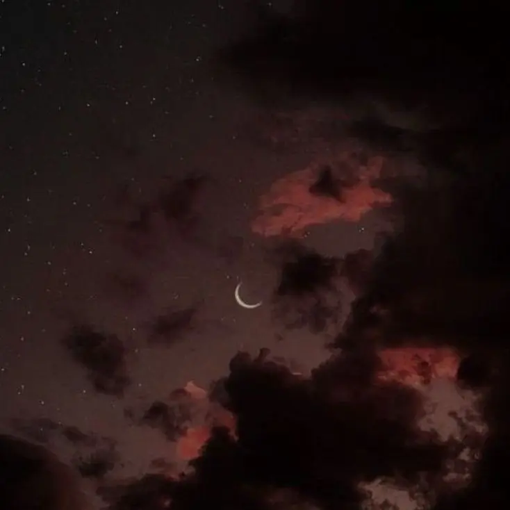 tired_zzz의 뱀파이어랃