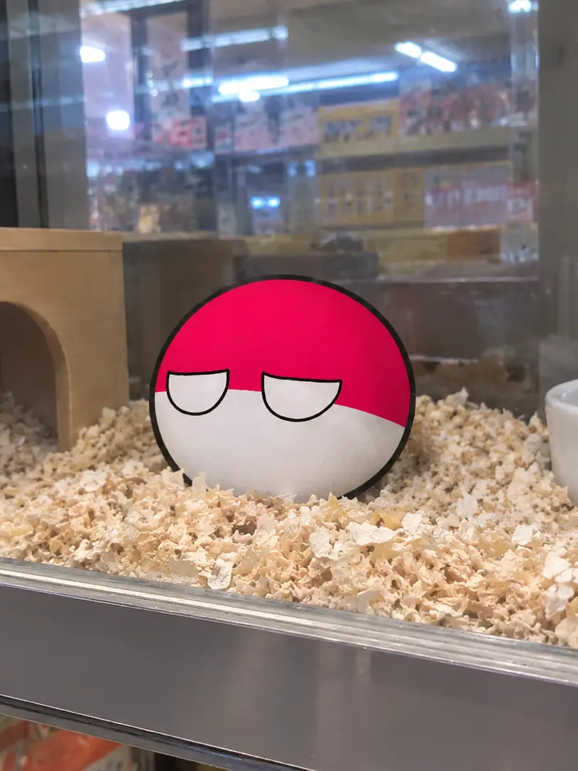 RedComic3706의 ポーランドを飼おう！
