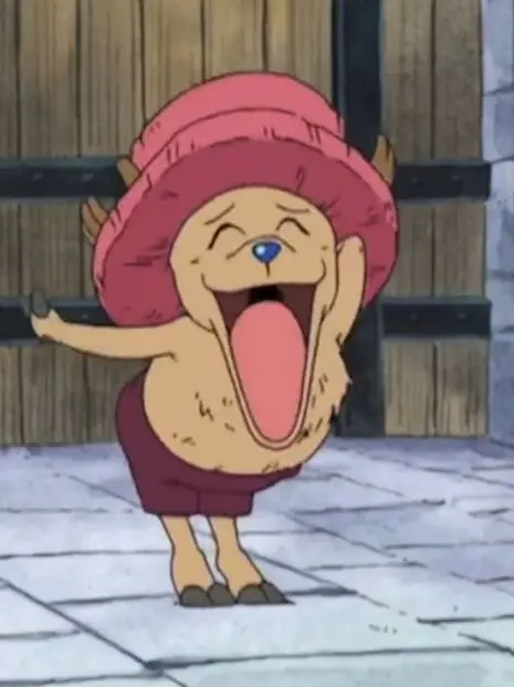 FleshyFife2256의 경찰이 됐는 원피스 캐릭터들