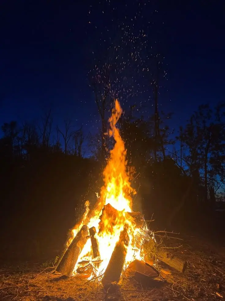 Give_me_the_money.의 포세이큰 캠핑+늑대,여우