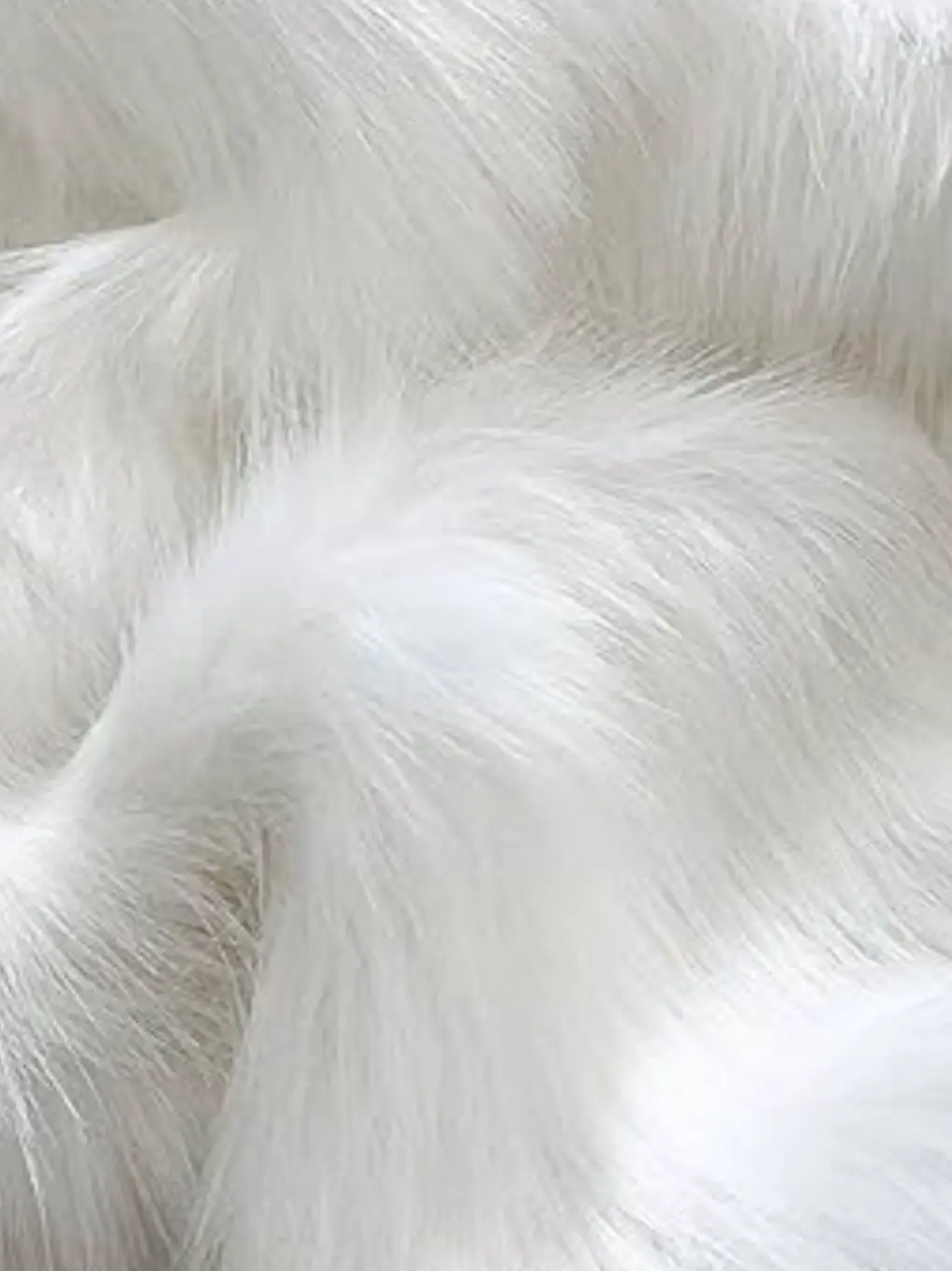 MauveXerus2667의 ２年ズとブリ子