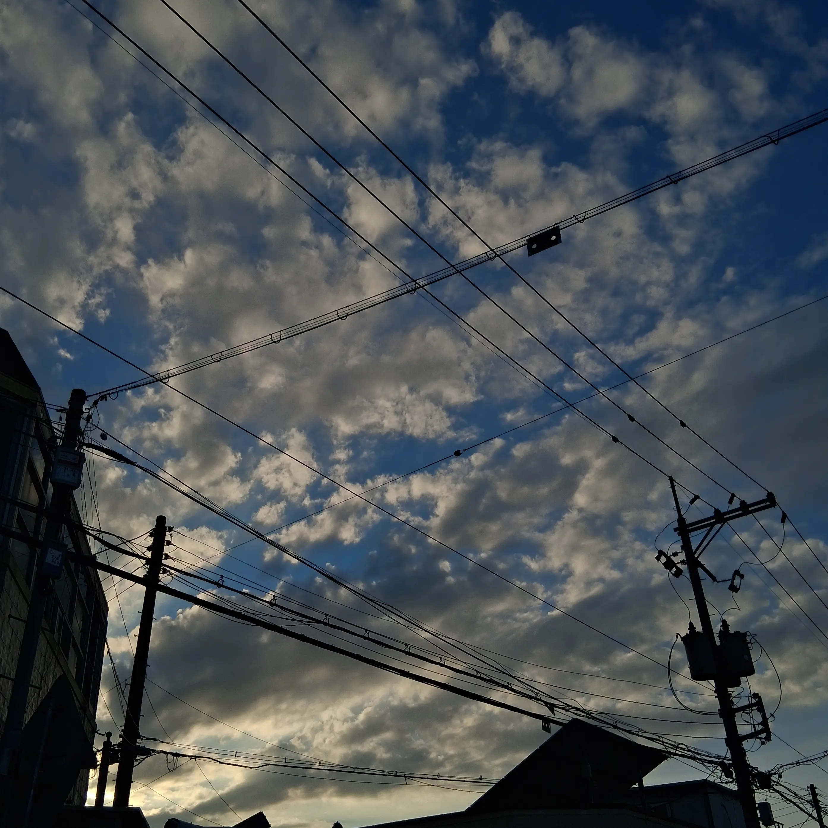 SnugMole9849의 MT