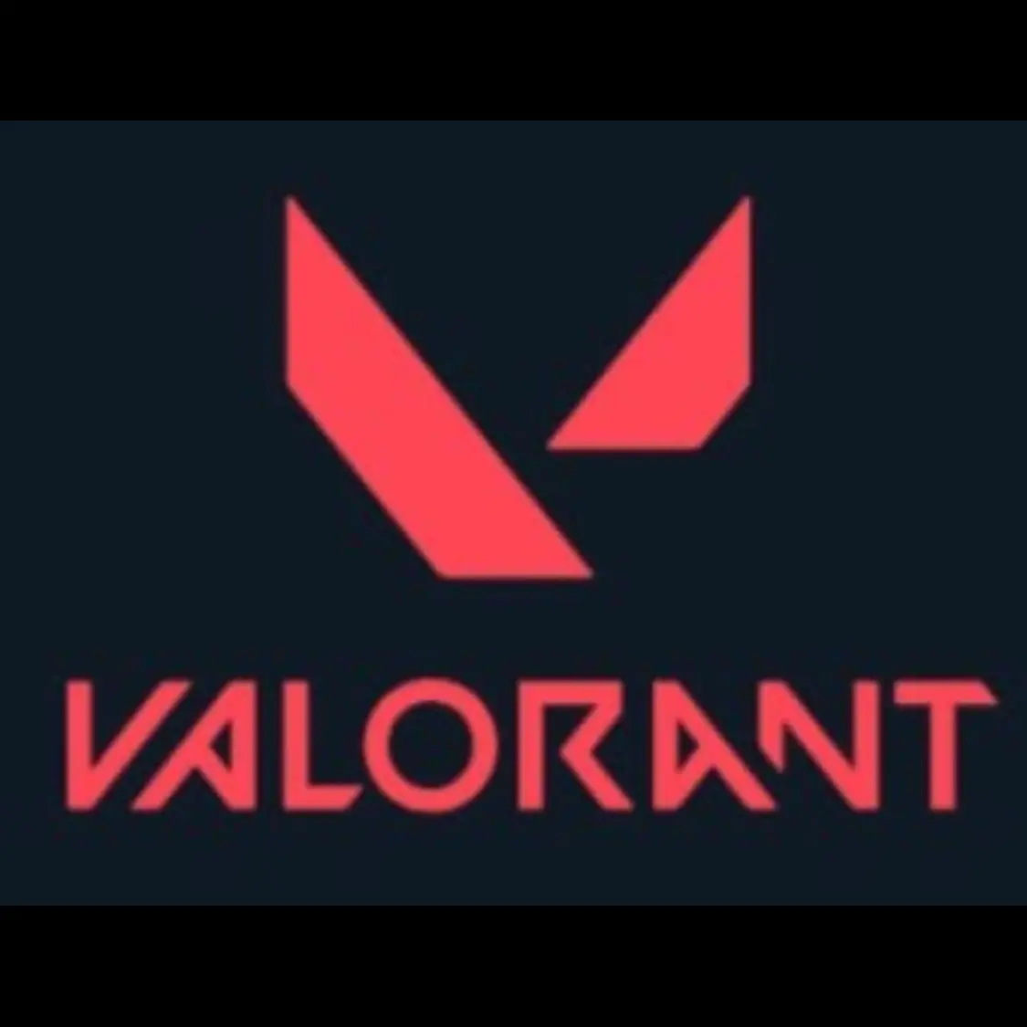 VALORANT_CHAR의 발로란트