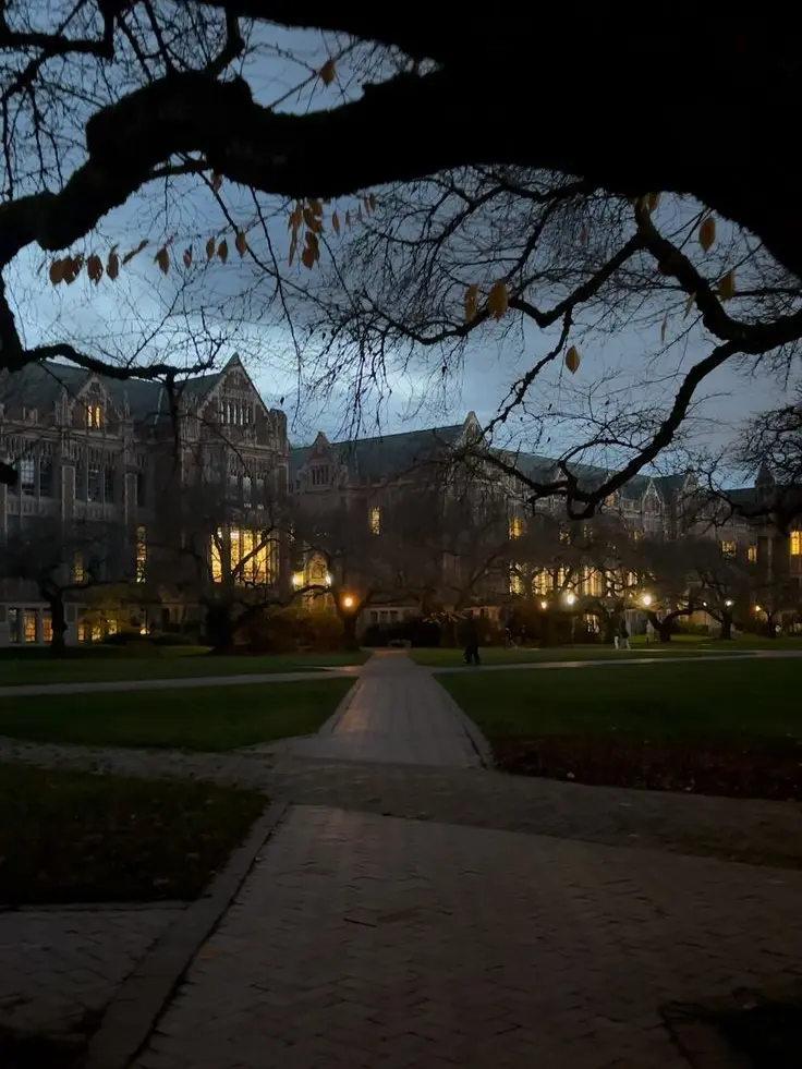 mkayn03의 Aethelgard Supernatural University