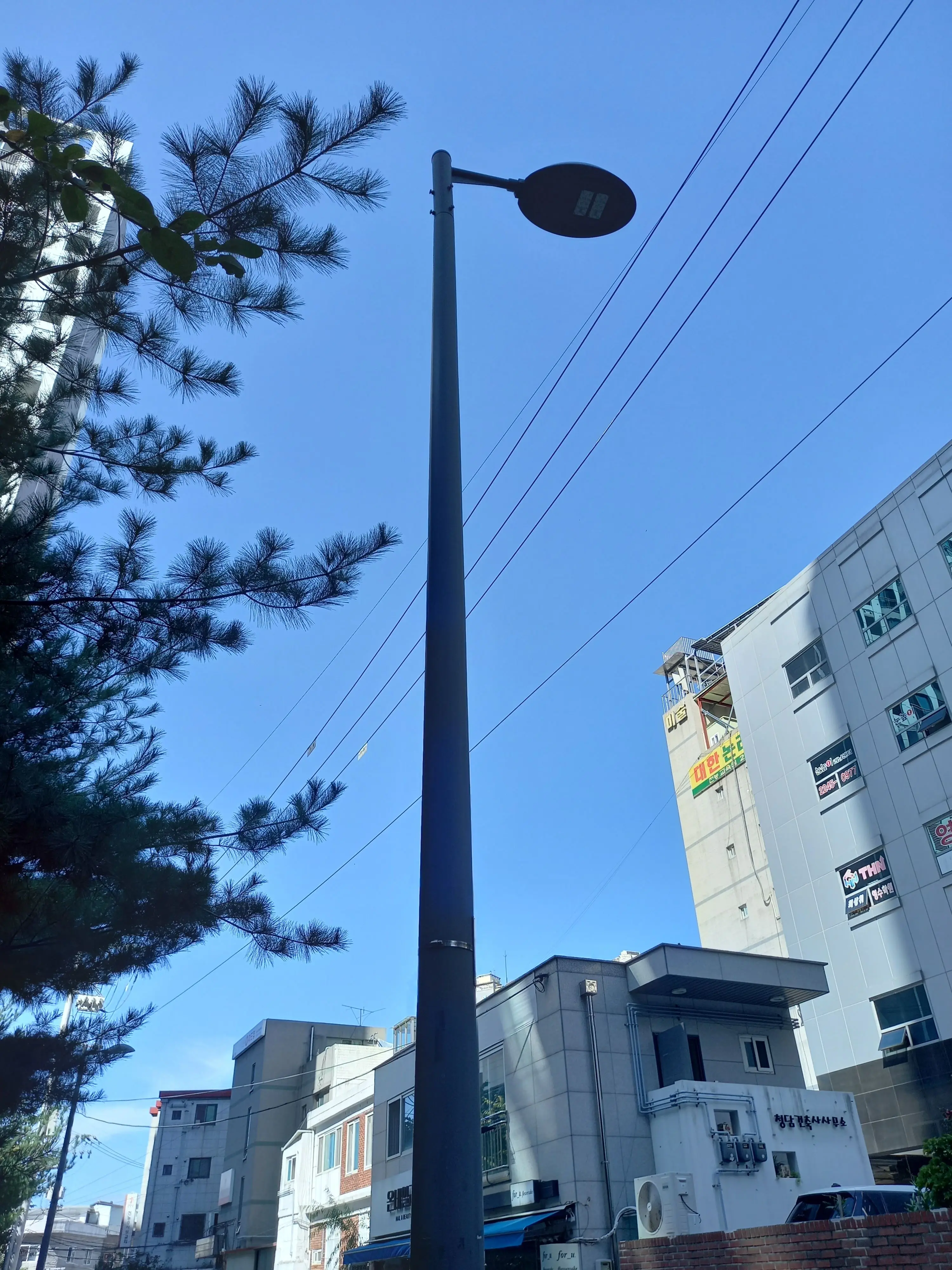 kongiiiii의 청춘이 뭐야? 지금이 청춘이지!