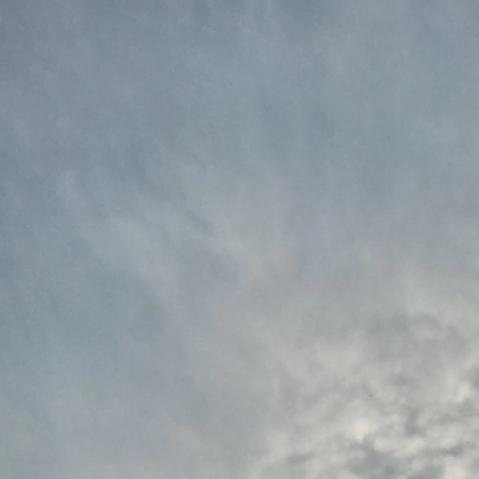 SleepyTwig6805의 덕개