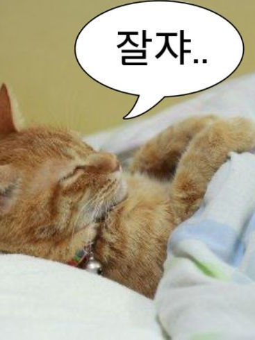 건들지마라 대표 이미지