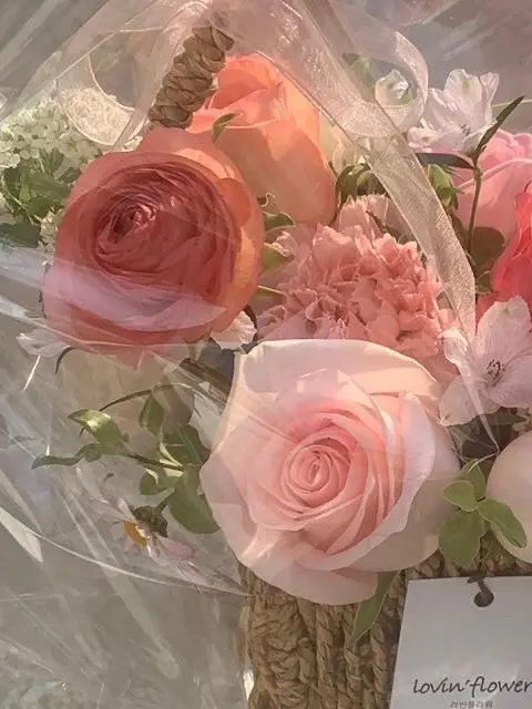 Meille_Yume의 카리스마 기사가 된 난쟁이..?