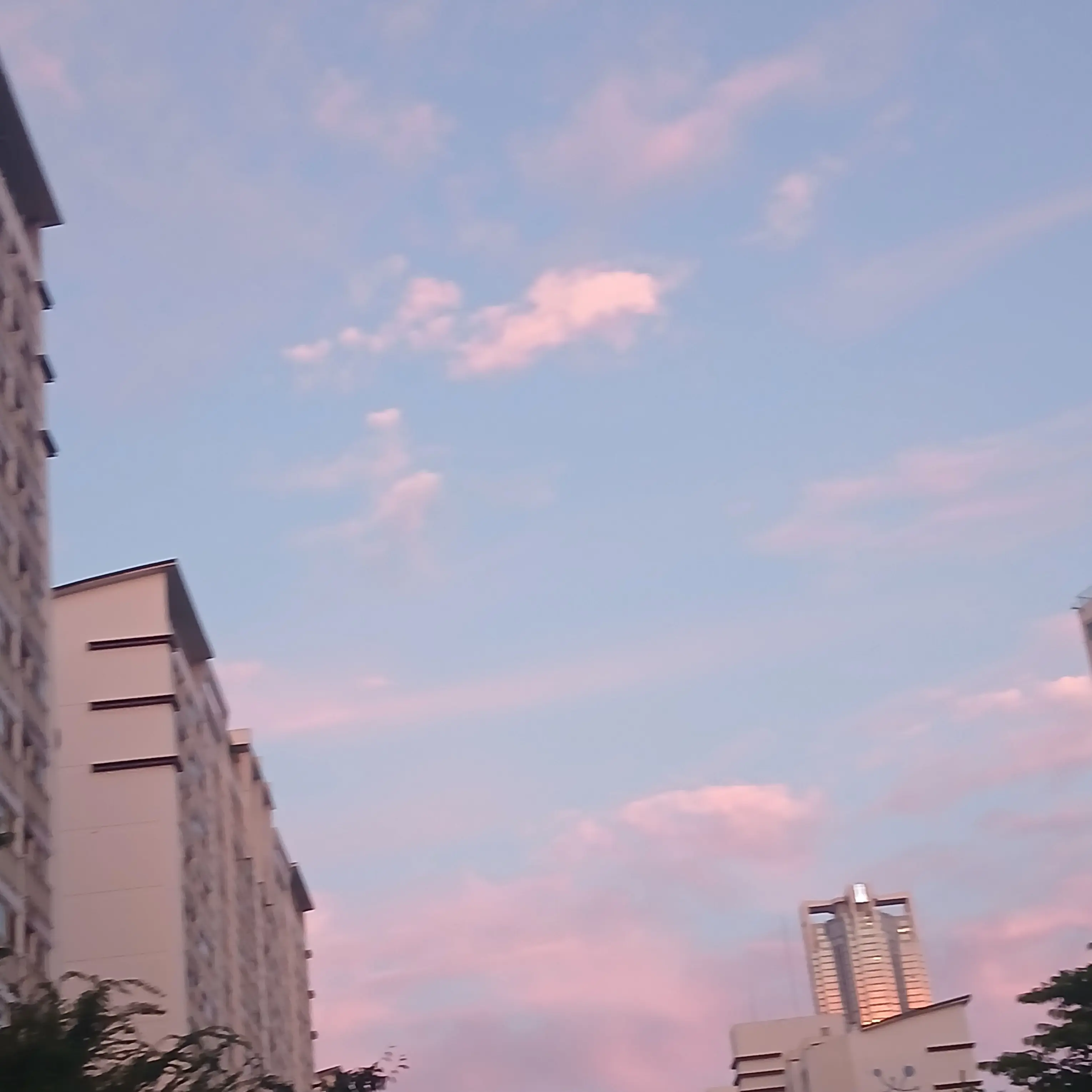 MereComb8717의 환자