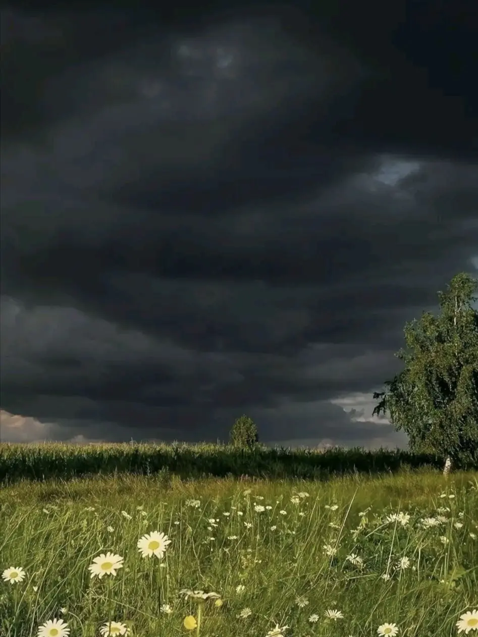 ElitePlank2815의 낙원