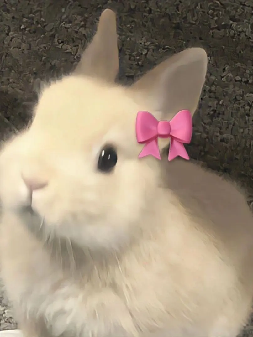 GiddyLynx3599의 히로세 료