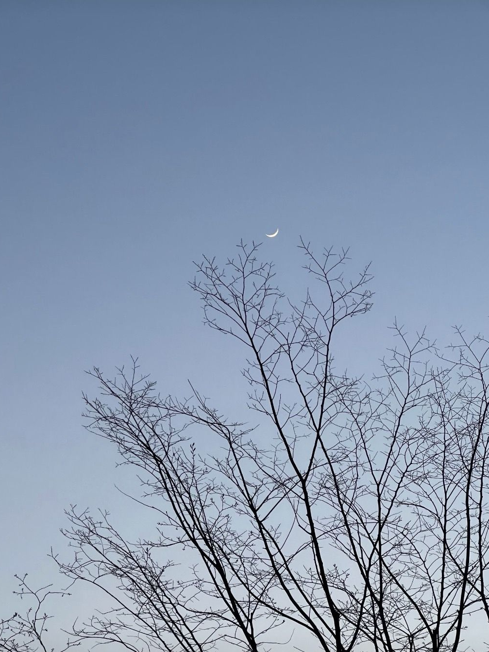 0911 대표 이미지
