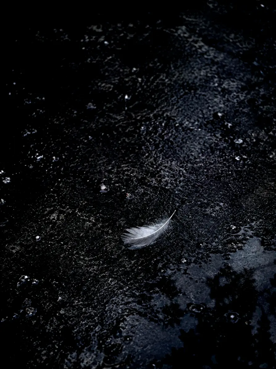Siol_Nabi의 You Won't Leave