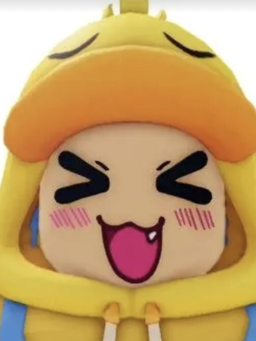 꽥탐 제주도 브이로그 +(여우,늑대) 대표 이미지