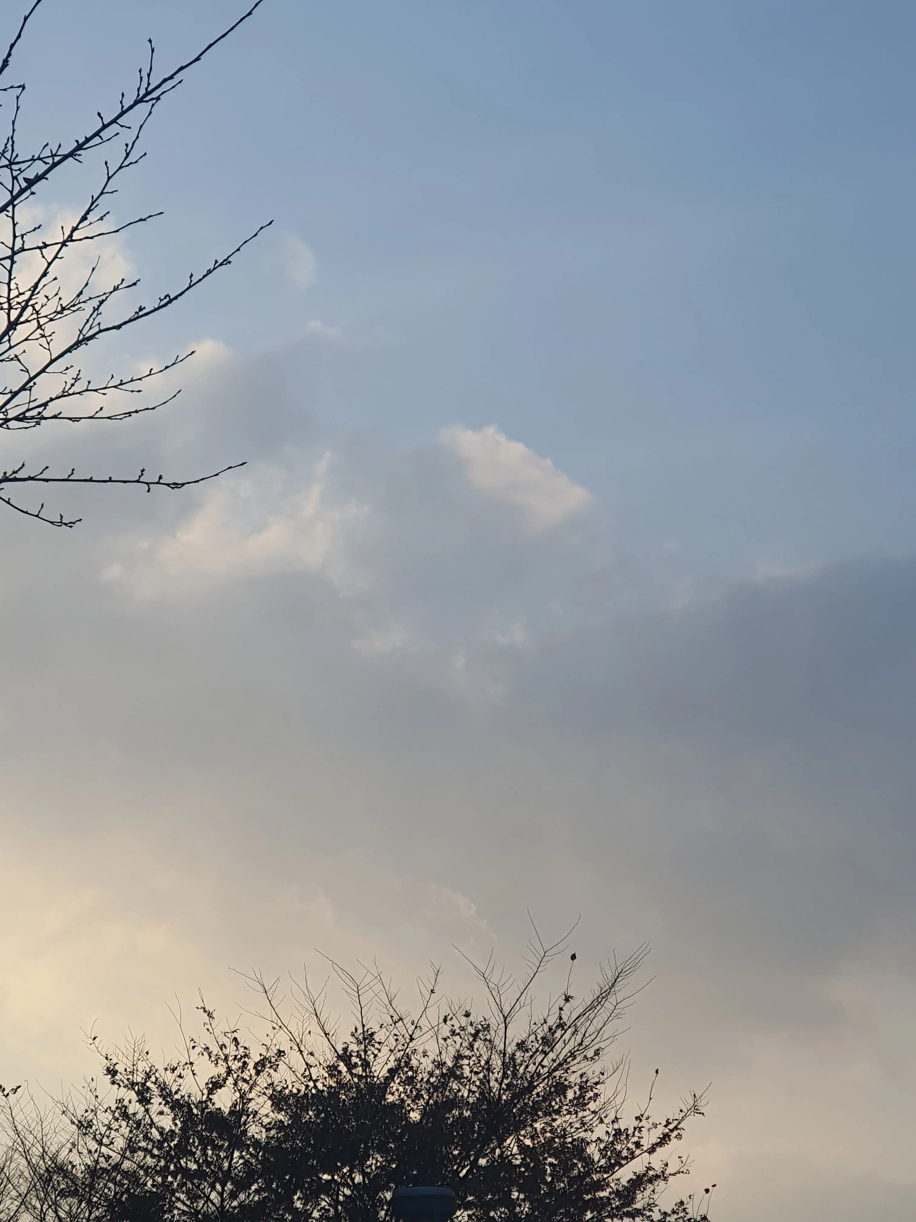 ChubbyCrane2960의 이세돌 슬의생