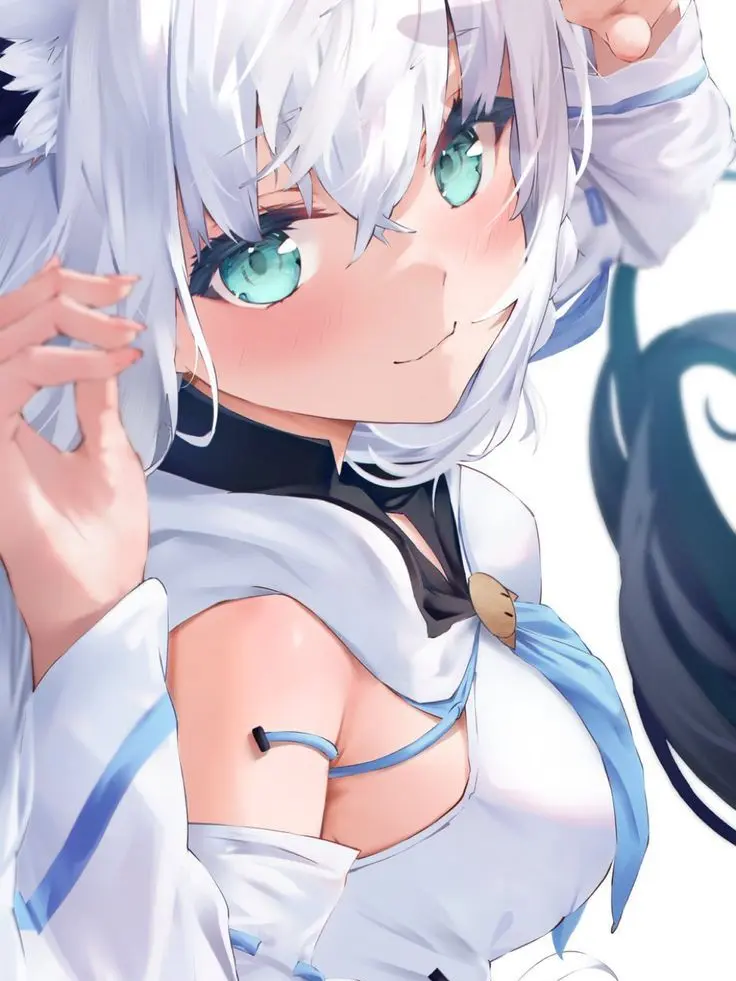 PettyMule7988의 にゃんぐこーんの取り合い