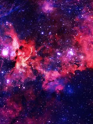 HeavyIbis8803의 강창호