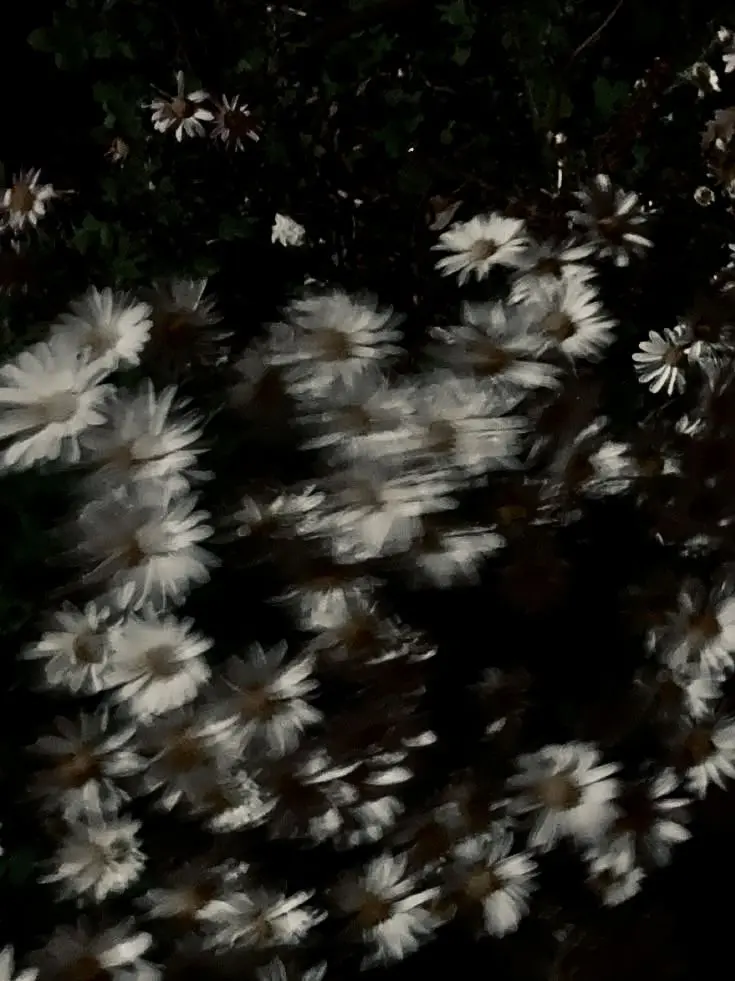 GoodDayAlwaysRunaway의 ✿