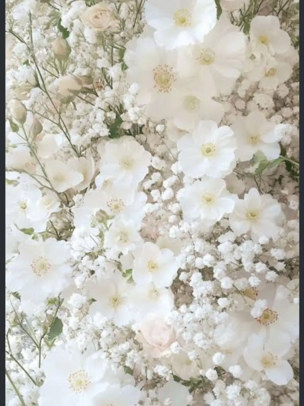 sian0323의 나의 이웃은 악마님