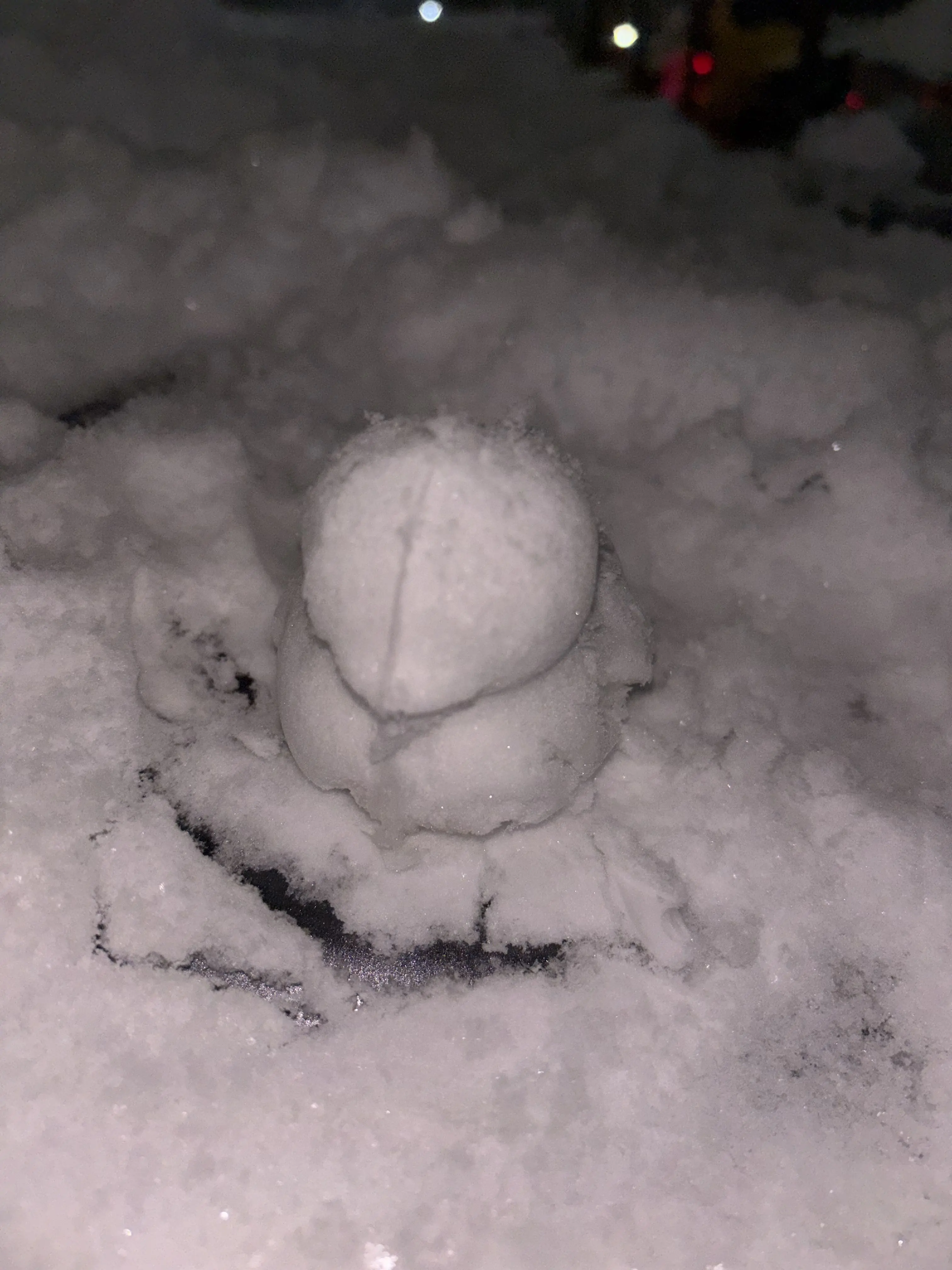 fjdostsjej의 슼즈고 f8